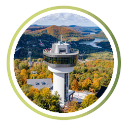 Pilkington AviSafe™ - z myślą o naturze