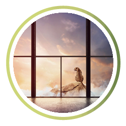 Pilkington Mirai™ - szkło o niskim śladzie węglowym